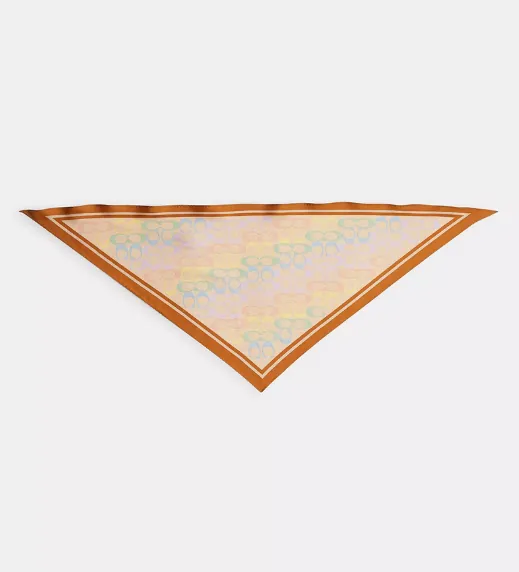 Signature Rainbow Print Silk Triangle Scarf